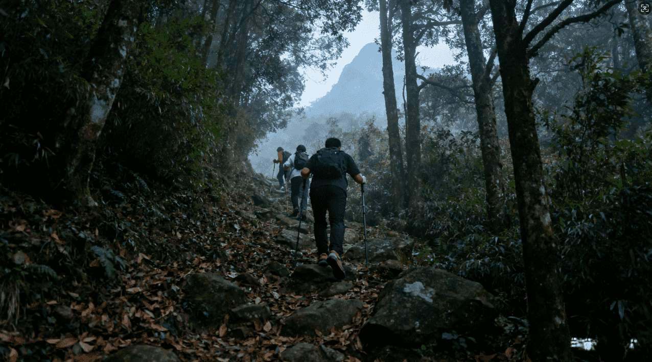 如何有效判断佛跳墙加速器是否存在故障或问题